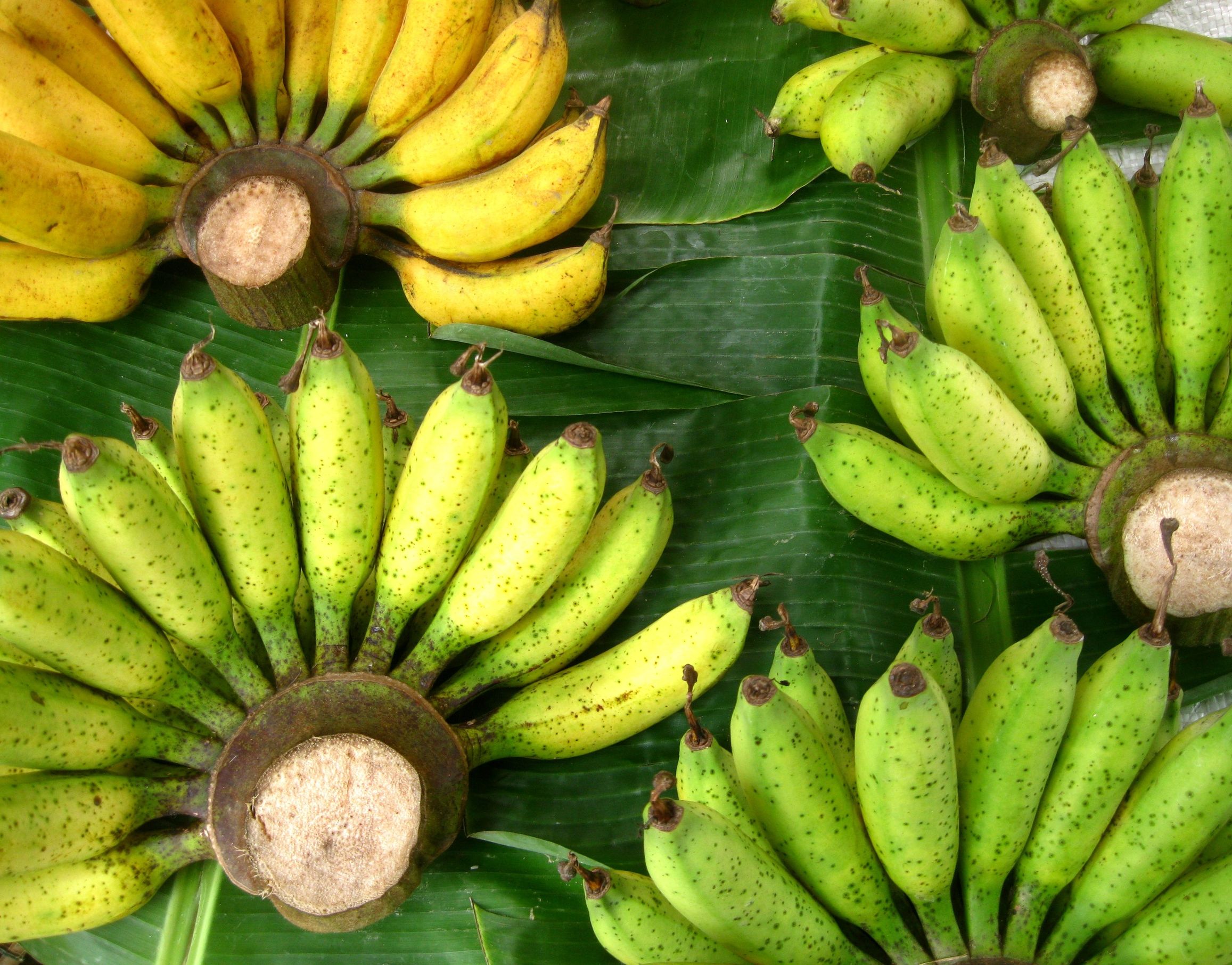 MedWeb - Банан: еда для перекуса и не только