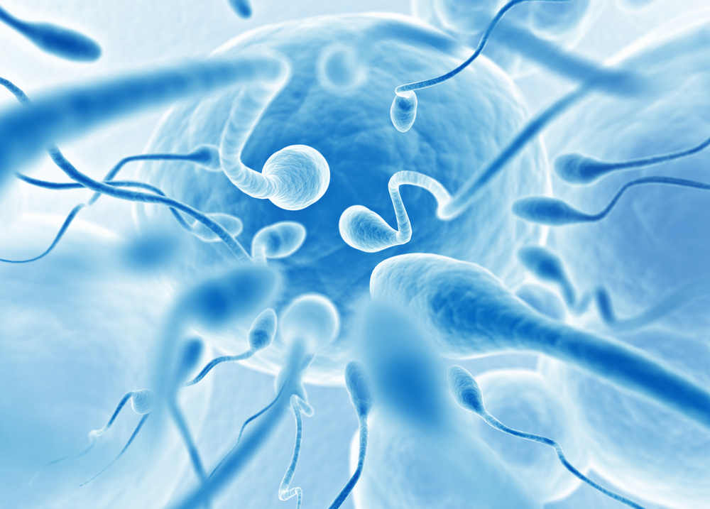 Спермограмма - тест на качество спермы