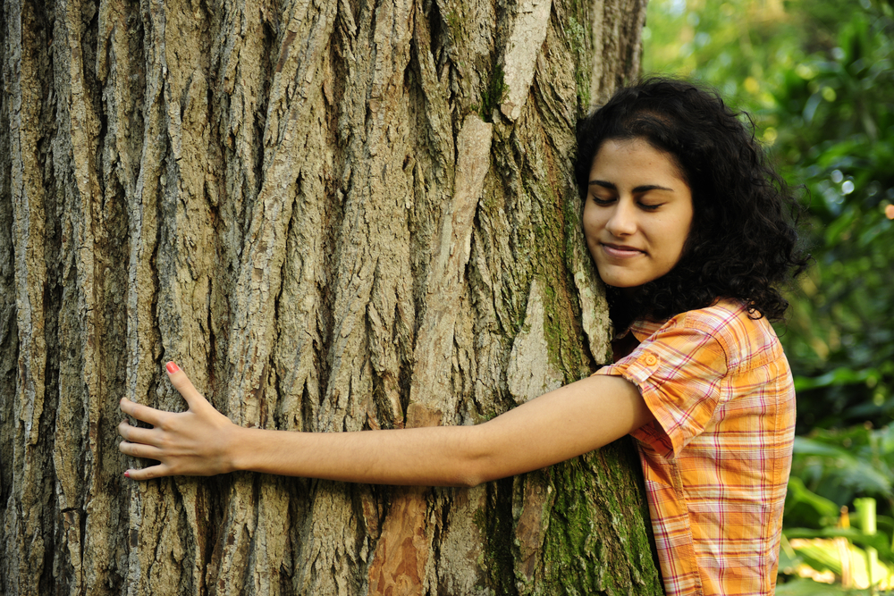 Обнимает дерево. Девушка обнимает дерево. Дендротерапия. Человек обнимает дерево.