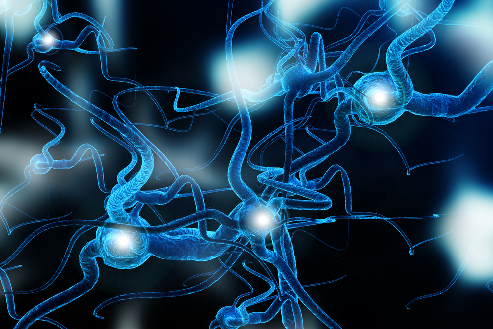Открыт новый тип нейронов в головном мозге