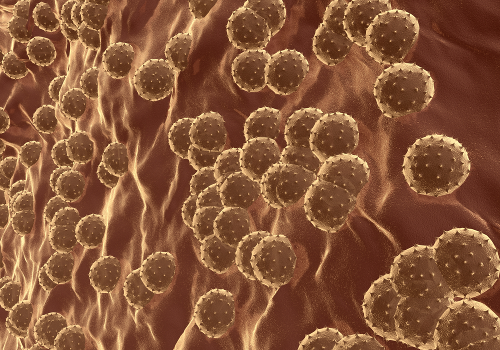 Найдены антитела, способные защитить от гепатита С